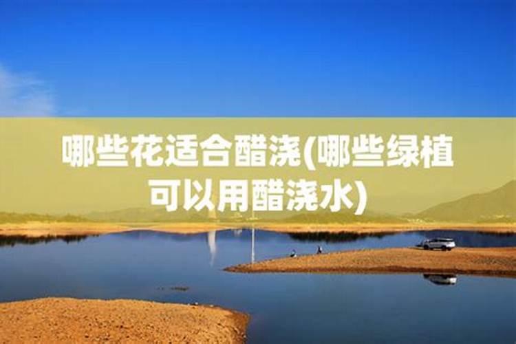 DNA提取过程中的关键步骤及注意事项有哪些？