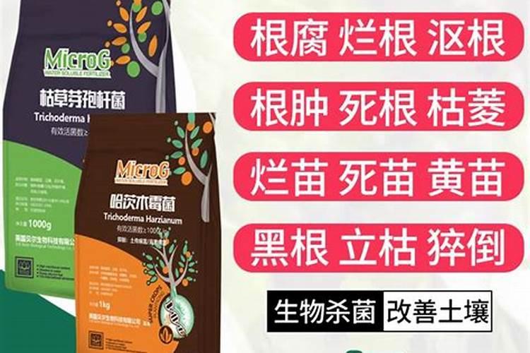 草莓开花前期用什么肥