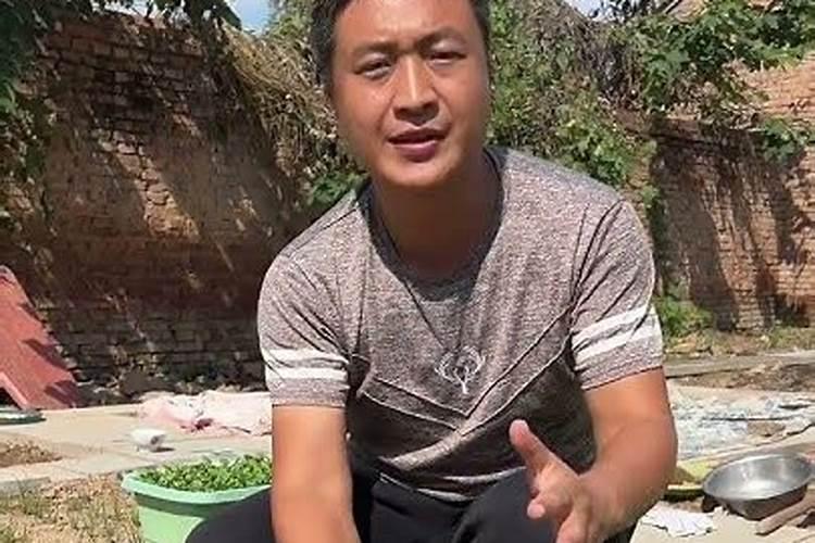 冬白菜什么时候种植 冬白菜啥时候种植
