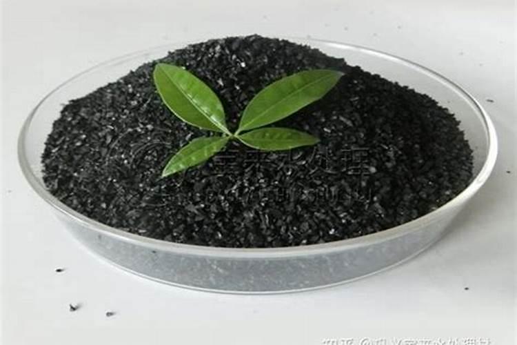 磷酸的主要用途是什么？