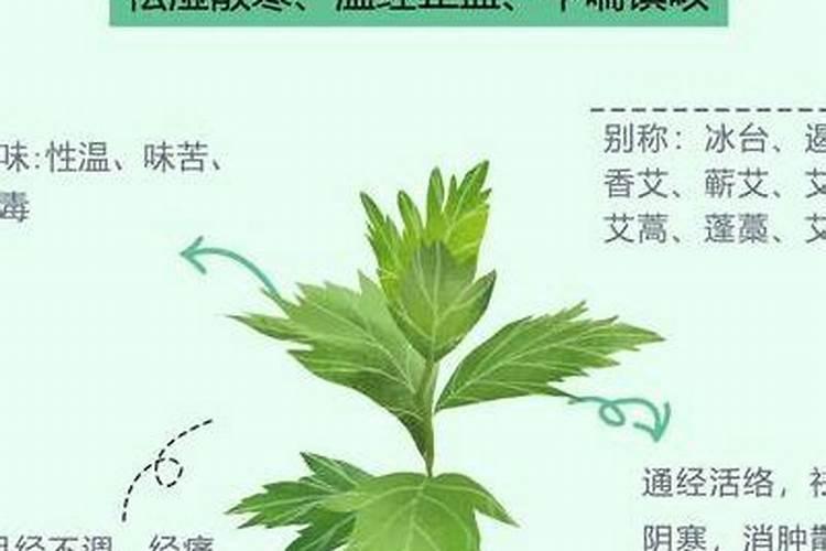 艾草上什么肥料？