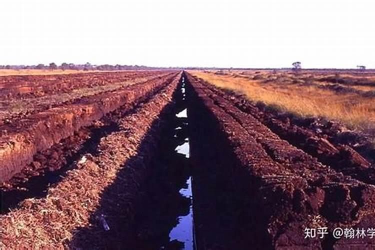 【无土栽培基质】无土栽培基质有哪些 蔬菜无土栽培的常用基质介绍百度...
