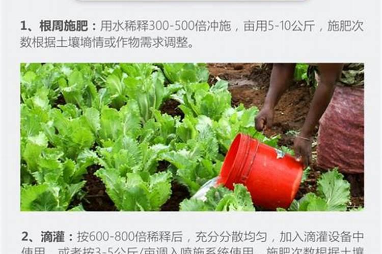 小麦施肥哪种肥料比较好 小麦应该如何施肥