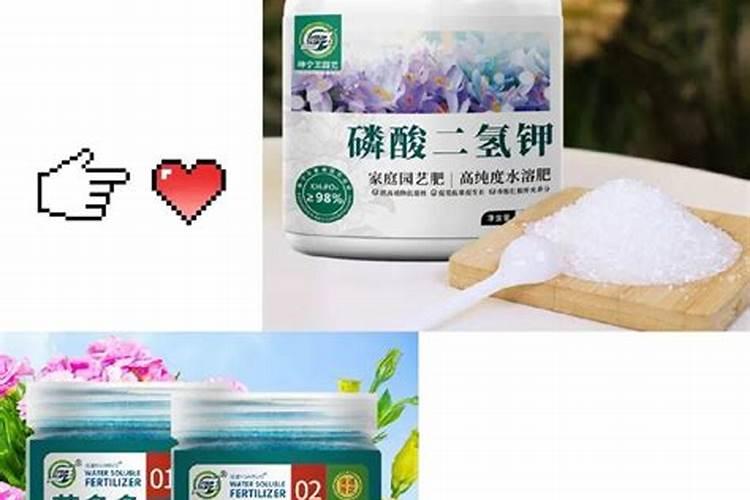 茶叶采摘时可以用鱼蛋白加磷酸二氢钾防冻呢