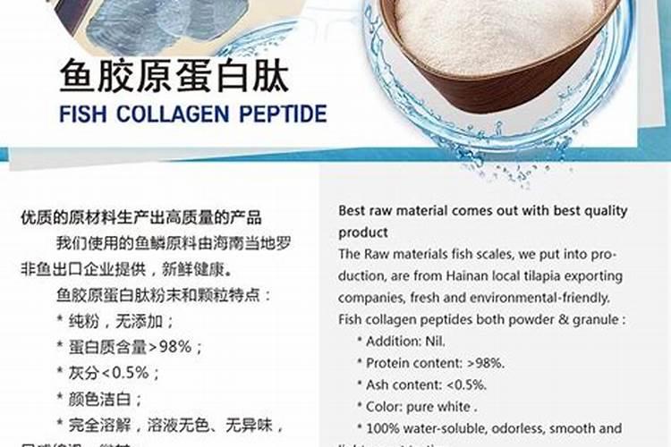 氨基酸、多肽、鱼蛋白有什么区别,又有什么关联？