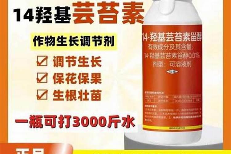 中国有几个刀剑网