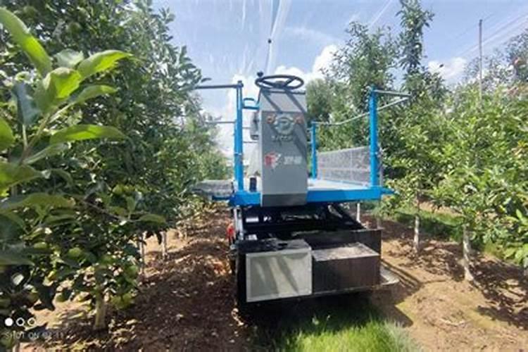 苹果套袋后用啥肥