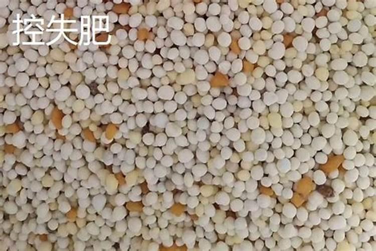 缓释肥和控释肥的区别是什么