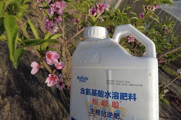 全速黄腐酸有机碳水溶肥用在果树生长阶段有什么作用？