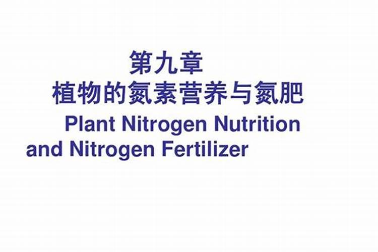 氮肥的作用及功能