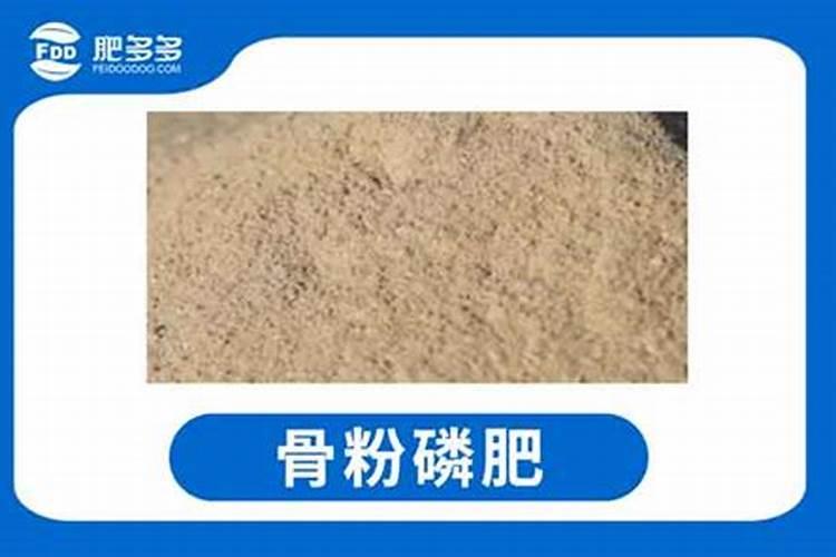花肥磷肥有哪些