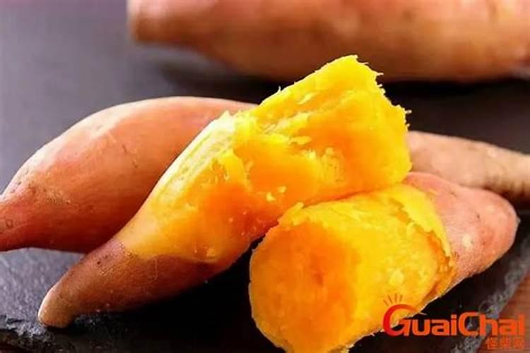 浇什么肥料让红薯长得粗壮长得快