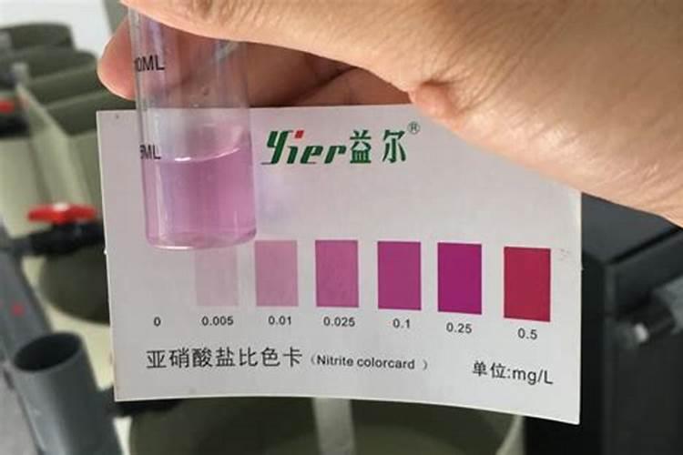 水产养殖氨氮高是什么原因造成的