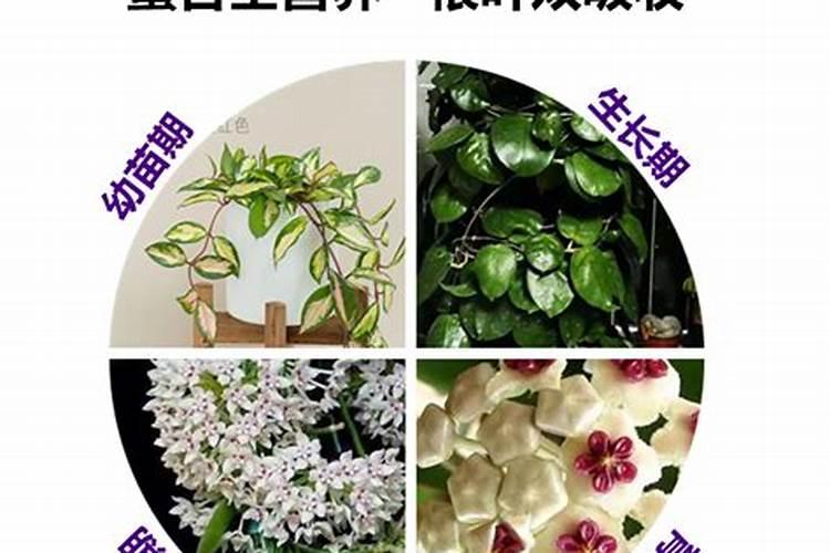 包头市金龙稀土是国企吗还是私企