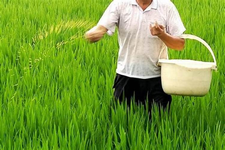 中国硼肥十大名牌