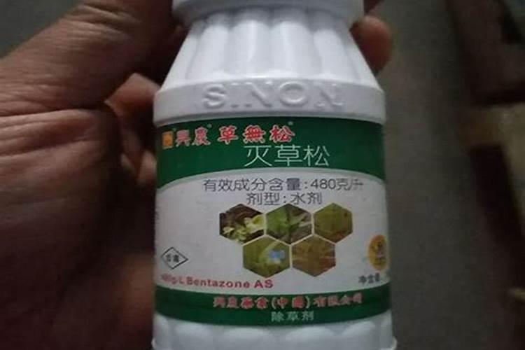 二甲灭草松可以和叶面肥一起用吗