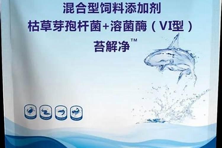 中期蟹塘怎么控制青苔生长