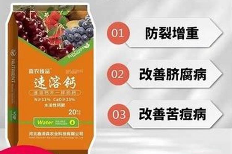 种水稻放什么肥能使秧苗发叉苗多一点？