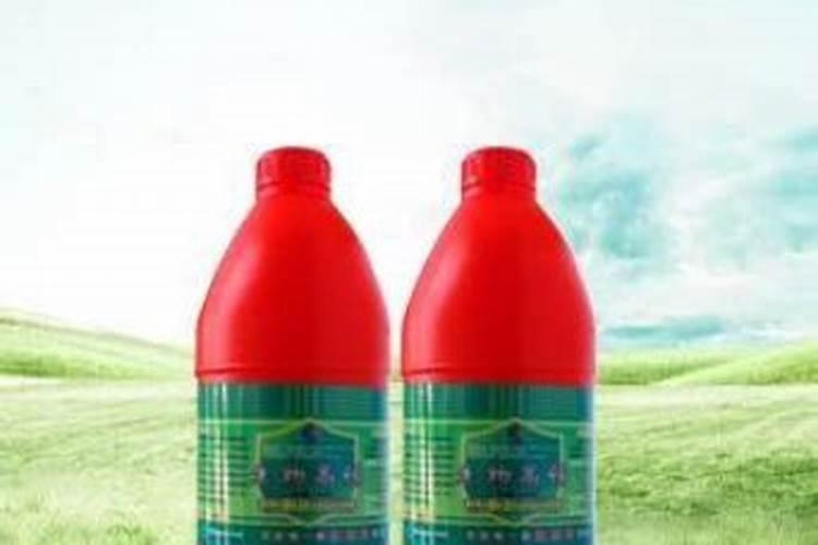 水稻黄叶病用什么农药