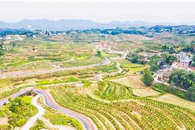 怎样矫正丘陵山地土壤的酸性？