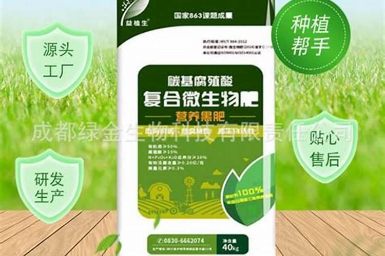 针状肥在玉米种植中的应用有哪些效果？