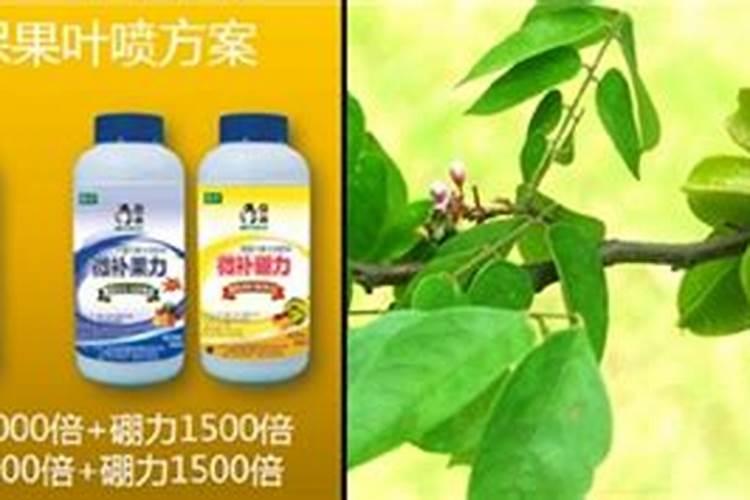 叶面肥复硝酚钠与尿素配比,叶面肥复硝酚钠有什么作用