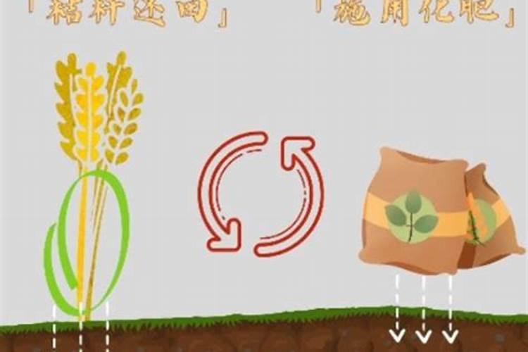 秸秆还田还需上钾肥吗
