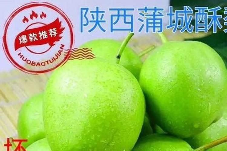陕西蒲城酥梨成熟期出现铁头梨是什么原因