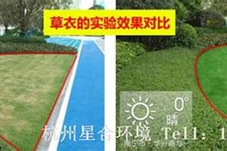 上海市奉贤区青村镇有什么厂？