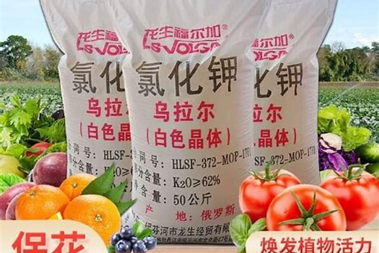 化肥有哪些品牌