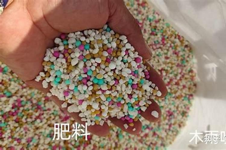 氮、磷、钾三种化肥的区别方法