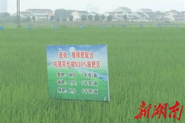 水稻施肥方法和用量水稻施肥方法是什么用量多少