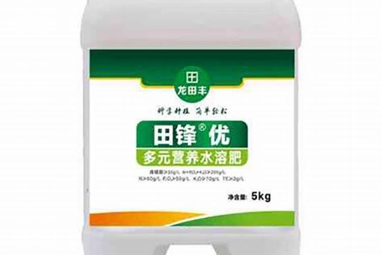 番茄喜欢什么肥料？如何管理才能苗壮果大产量高？