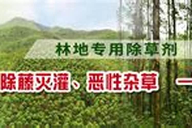 广西桉树肥十大排名