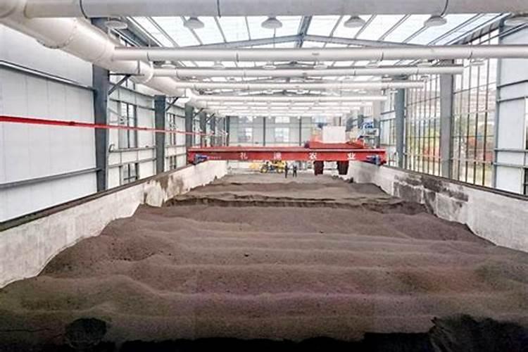 请问一下在江西九江这个地方这个季节适合种什么蔬菜？