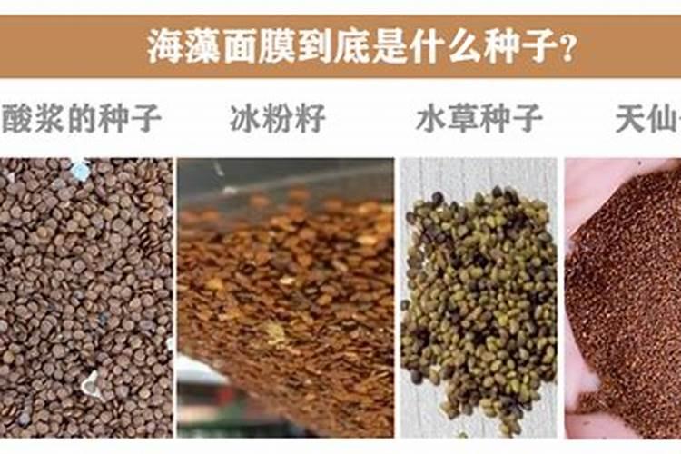 噻呋酰胺与菊酯类杀虫剂能不能混用呢