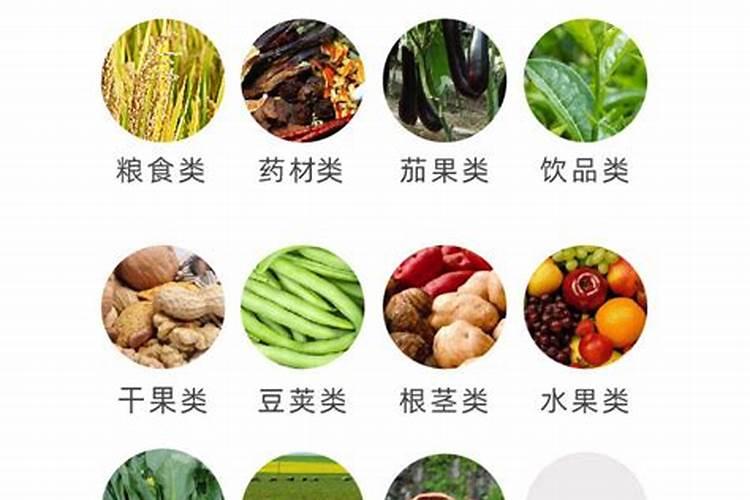 迈乐鞋子怎么样