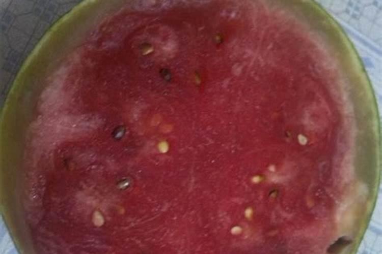坏西瓜可以给果树当肥料吗？