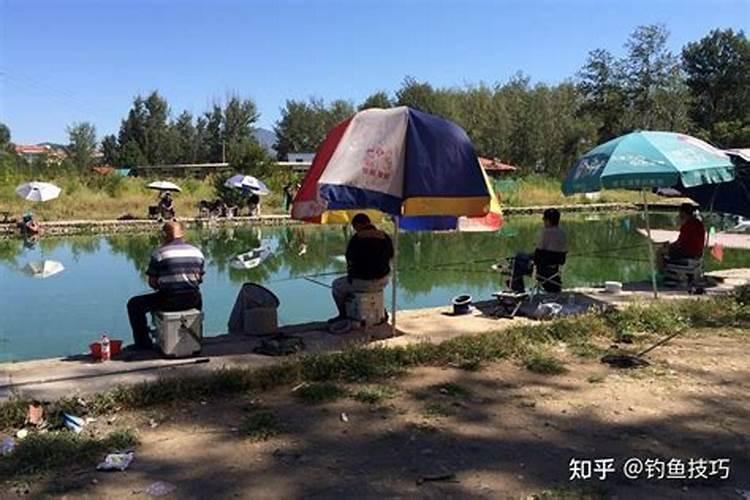 怎样判断养殖水体肥还是瘦