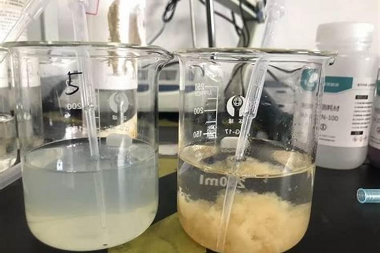 如何判断鱼塘水质肥瘦