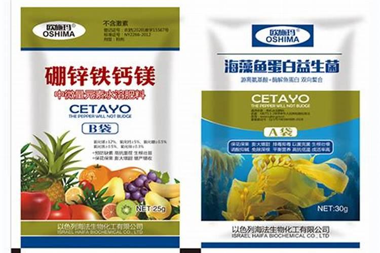 含钙镁高的食物有哪些？