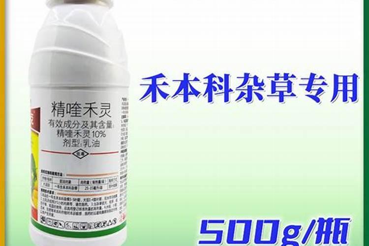 高氯噻虫嗪和烯草酮或全精喹禾灵能拼吗