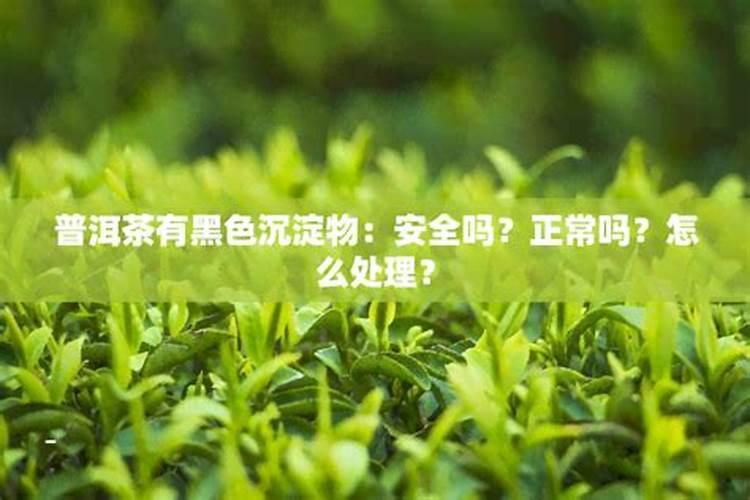 玉米叶面肥的最佳配方