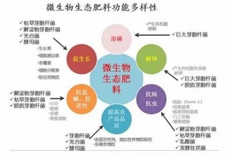 肥料氨基酸的功效与作用