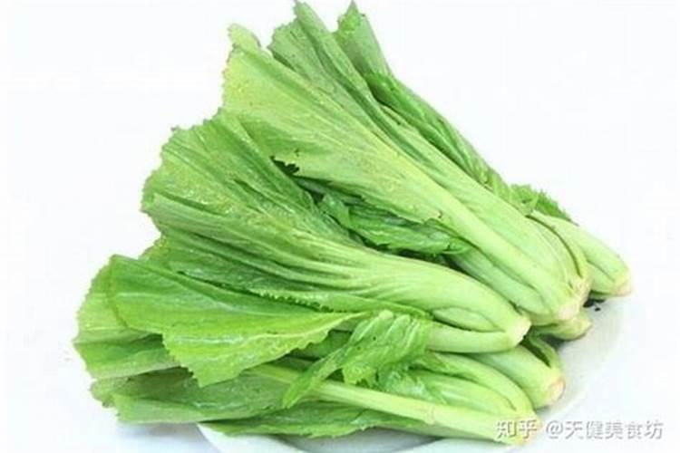 水种芥菜种植方法