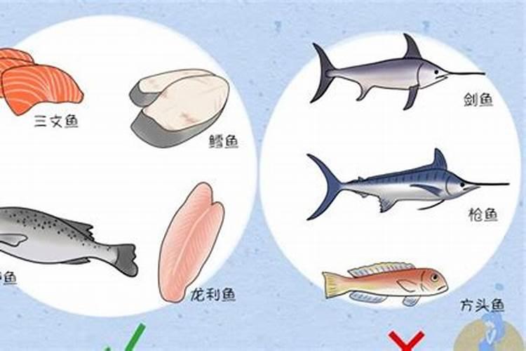 冻干南极磷虾鱼料含盐吗多少