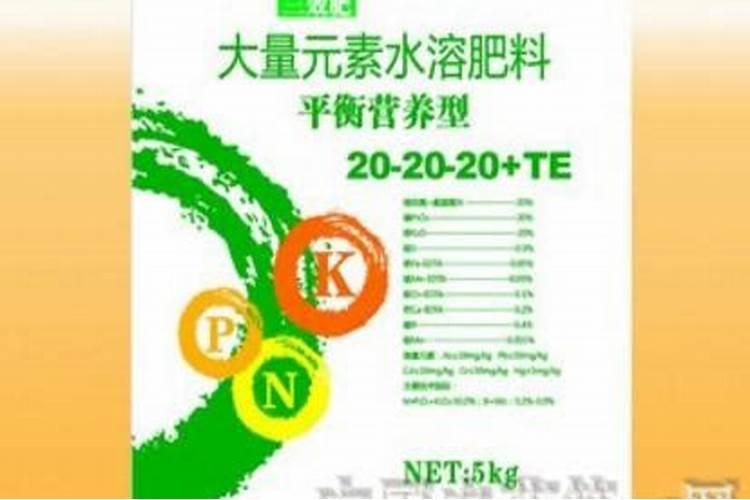 哪些水果含镁量最高