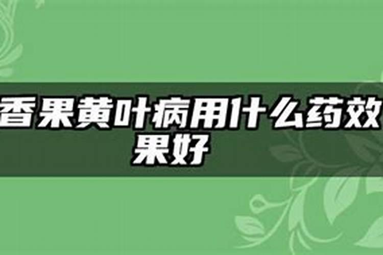 怎样防止百香果树冻死