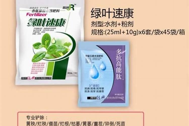 辽宁省锦州市,自己家大棚的仙人掌,得有6.7年了,像这样的仙人掌能值...
