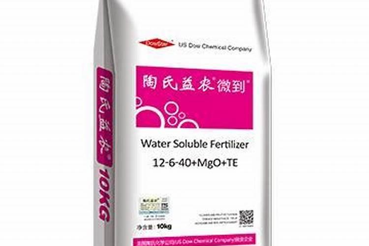 碗莲的种子什么时候用水溶肥